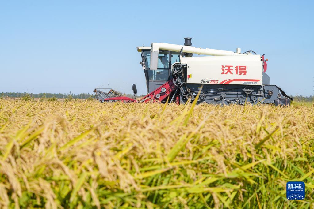 极客娱乐